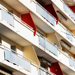 blancarde janvier 2022 007