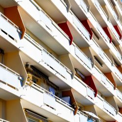 blancarde janvier 2022 027